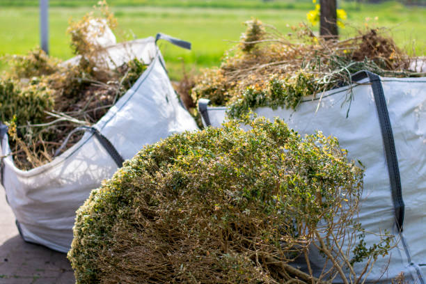 Best Shed Removal  in Mansfield, MO